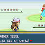 APH : Trainer Sesel