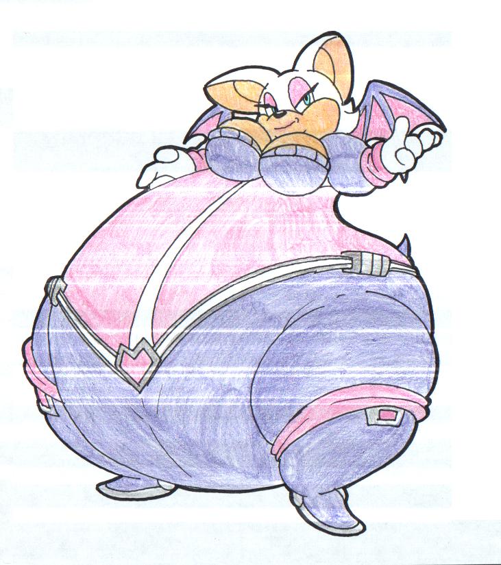 Sonic Heroes. Fat Rouge.