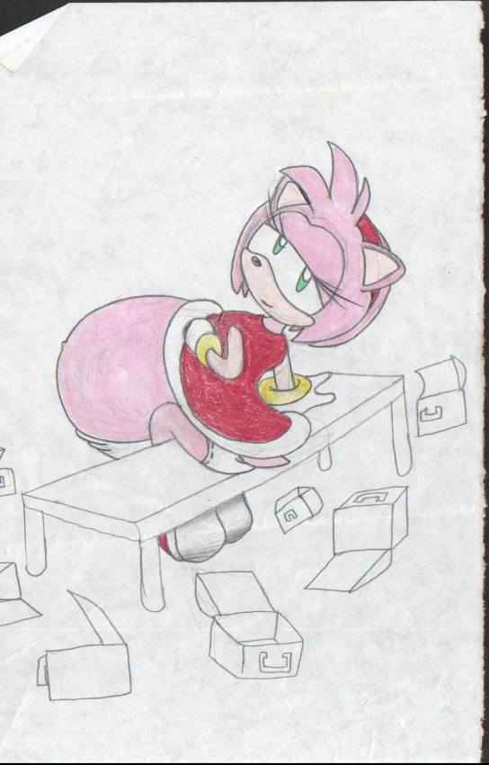 2005 Stuffed Belly Amy Rose.