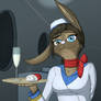 Personal Flight Attendant