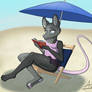 Beach Reads