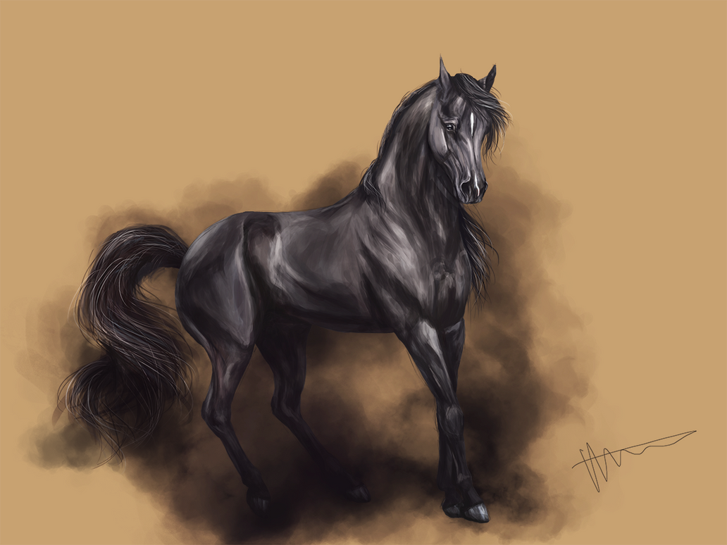 Nyctophile by Saferion on DeviantArt