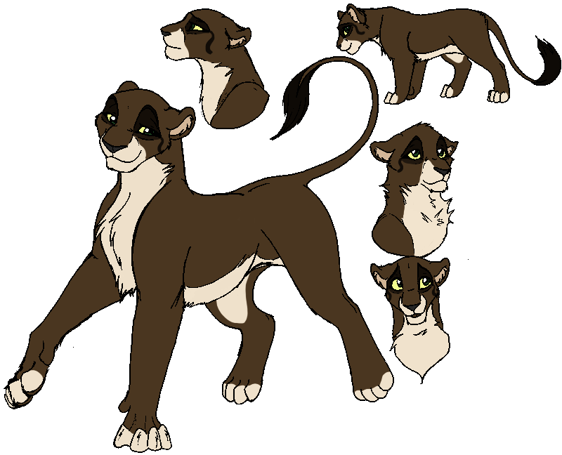 Matope- The Lion King oc