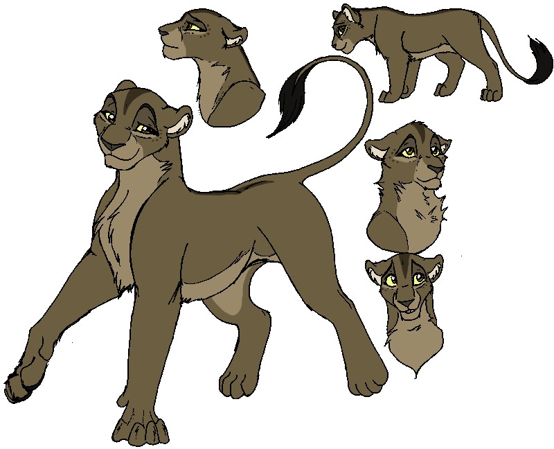 Navare- The Lion King OC