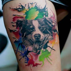 Dog tattoo By Norbert Halasz Insta  055