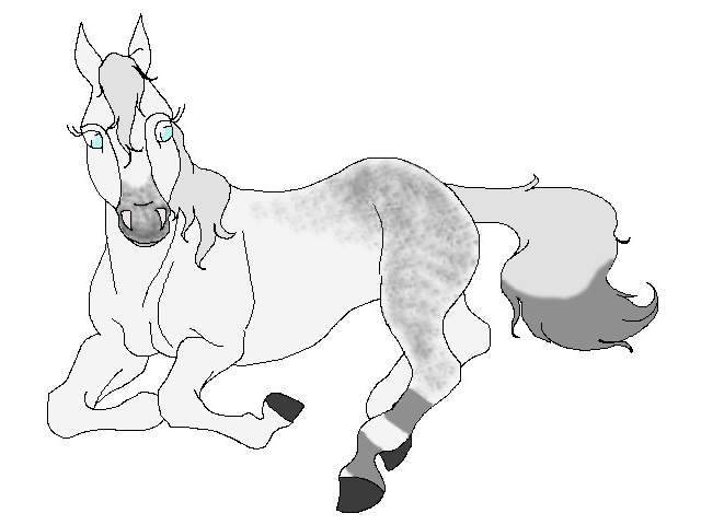 Horse Adoptable -CLOSED-