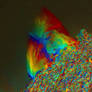 Solar Prominence on 2012-March-30