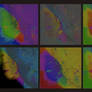 Sdo Warhol Black background