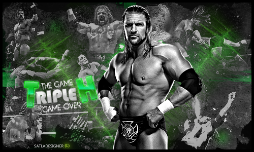 Signature Triple H The Game