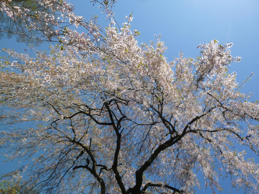 From below