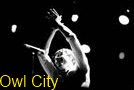 Owl City Clap Animation
