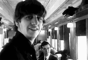 Cute Ringo!