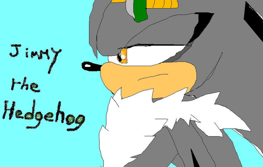 Jimmy The Hedgehog by drakughost on DeviantArt