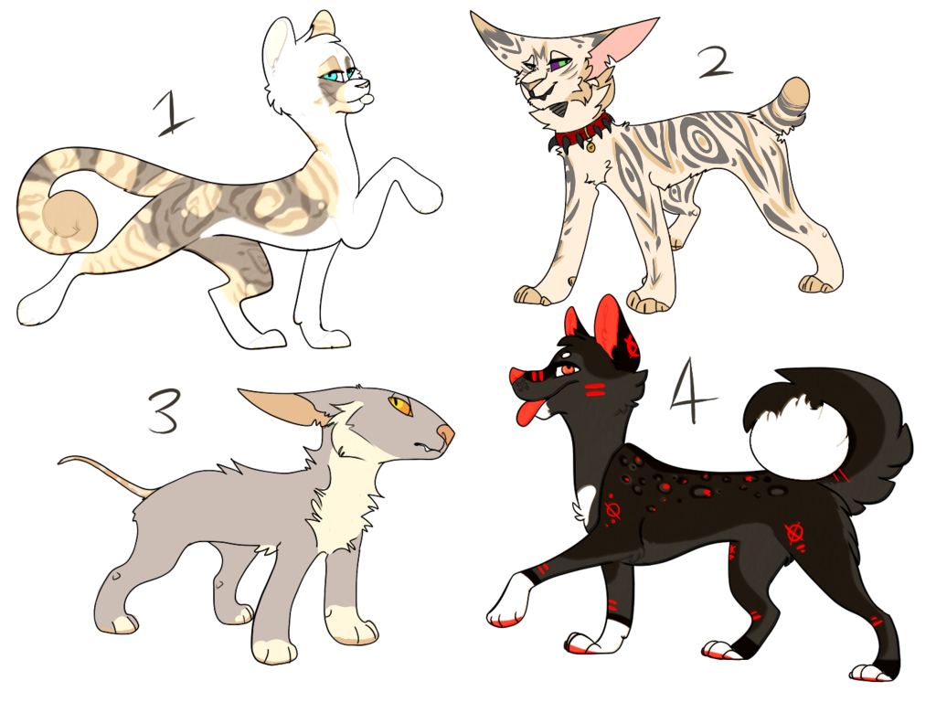 Collab adopts!