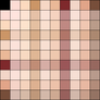 Skin Palette 02