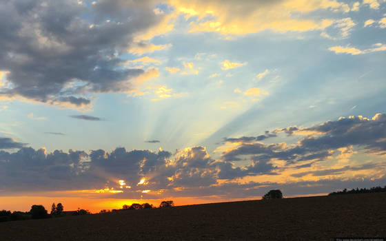 Sunset Rays