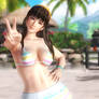 Hot Summer Hitomi ~