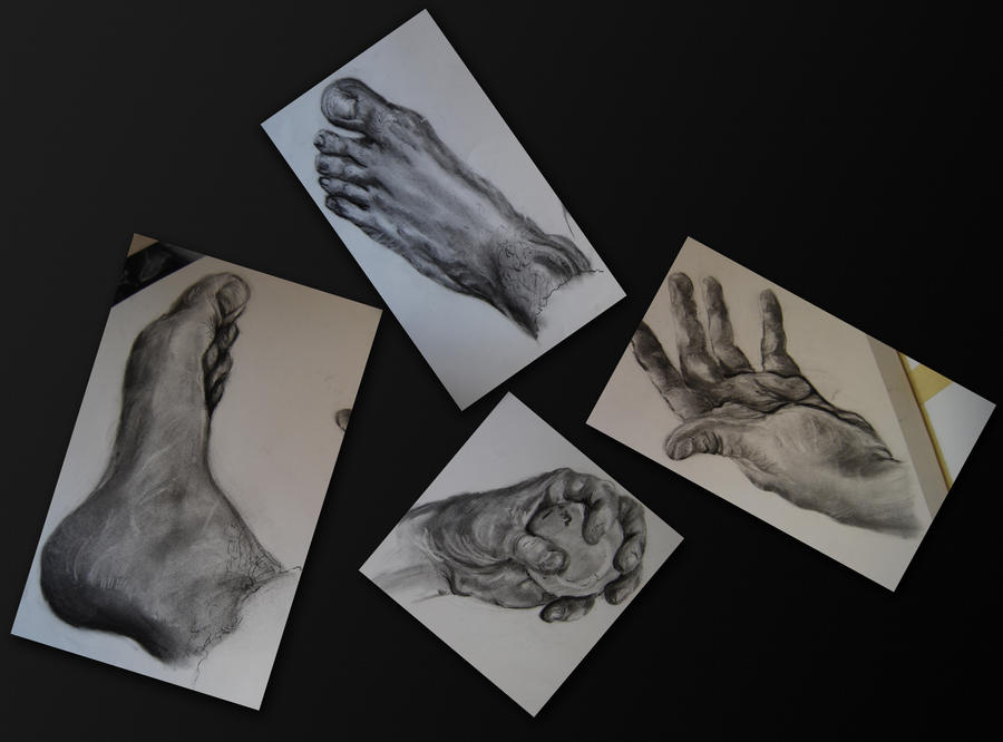 Hands And Feet By Bewilderbeast On DeviantArt hands-and-feet-by-bewilderbeast-on-deviantart