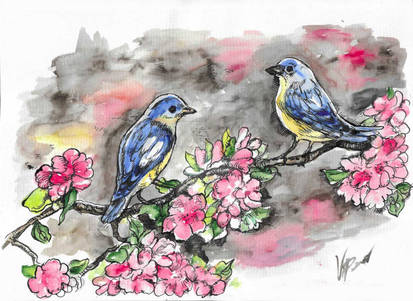 Birds