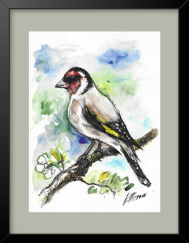 Bird in frame