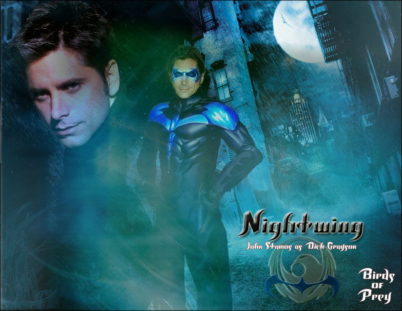 Birds Of Prey: Nightwing by Wseyonaaskane on DeviantArt