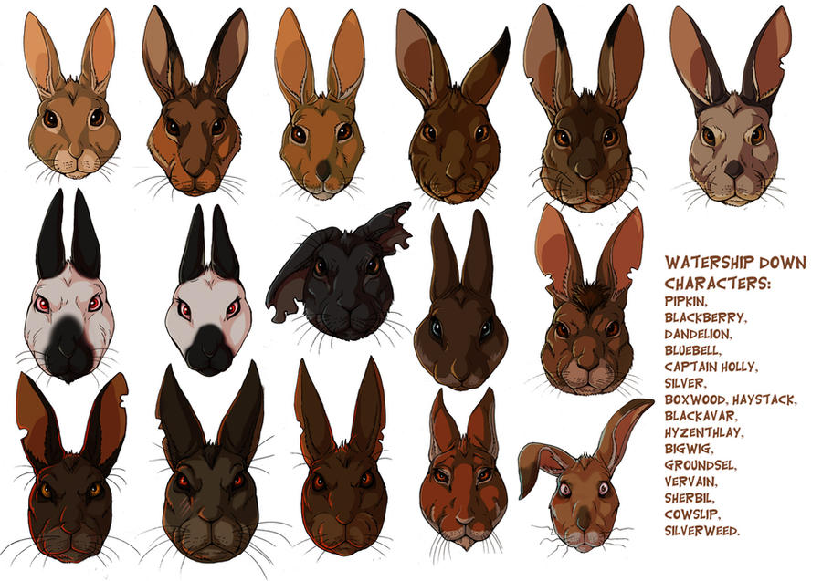 Watership Down rabbits by LadyFiszi on DeviantArt