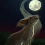 Watership Down - White Blindness