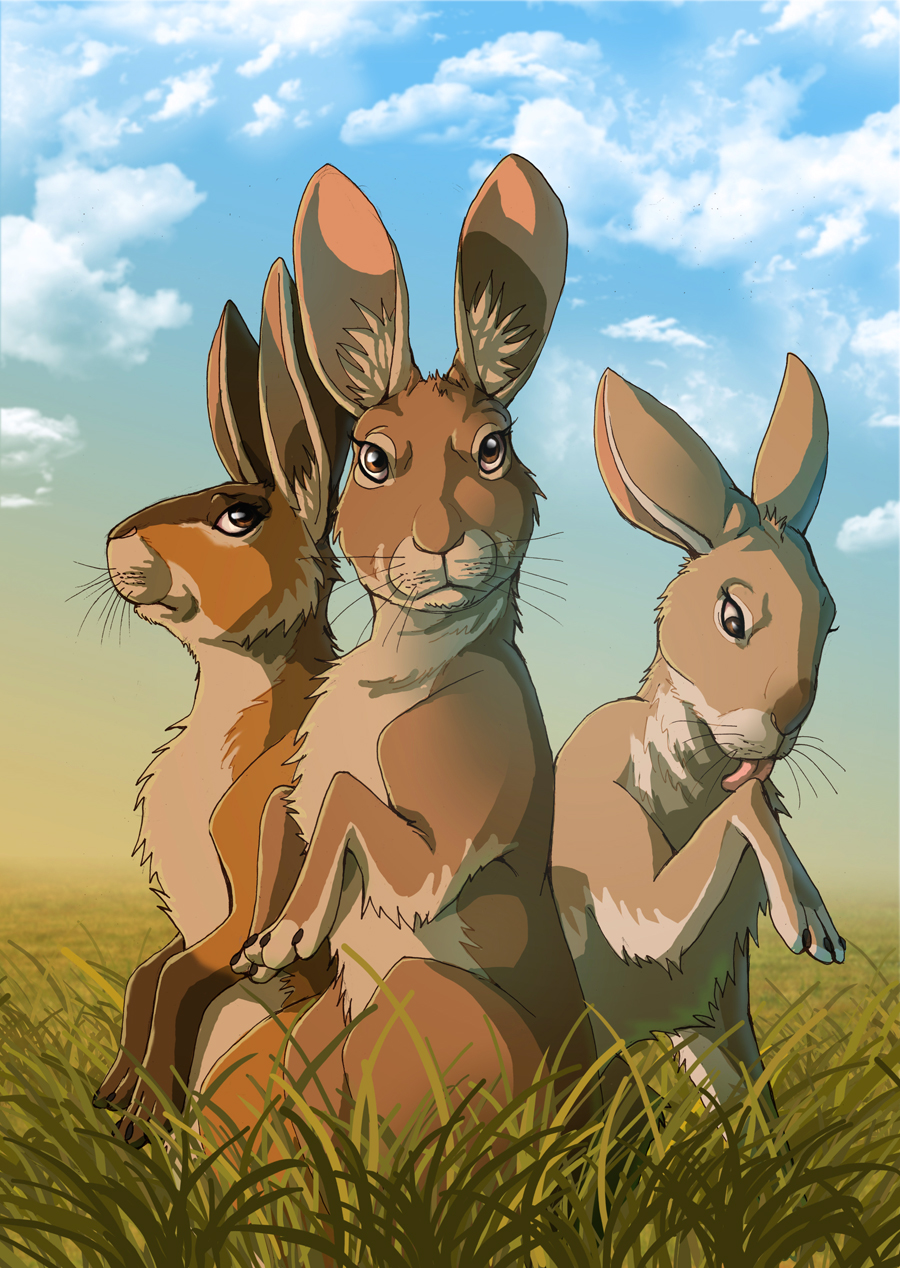 Watership Down - Hazel and friends