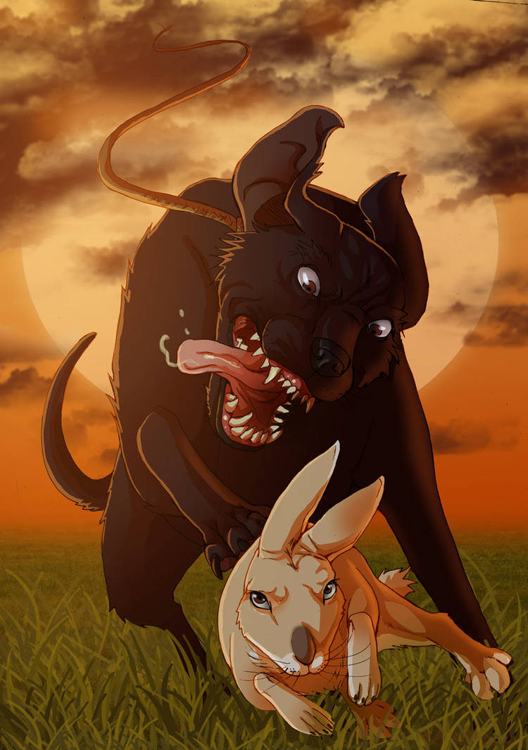 Watership down essay