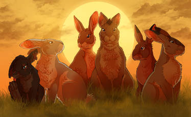 Watership Down - Owsla