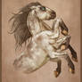 Sleipnir
