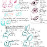 Rabbit Drawing tutorial pt1 - Characteristics