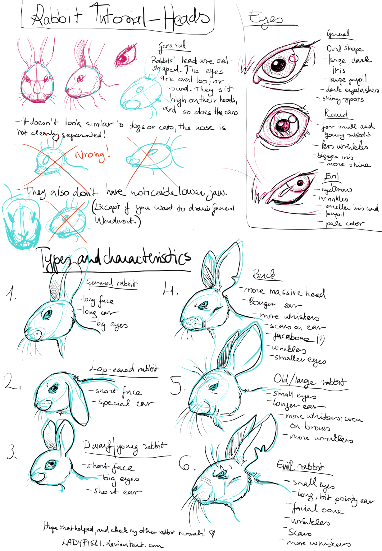 How to draw a bunny. Step-by-step drawing tutorial.