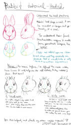 Rabbit drawing tutorial pt2 - Understand the Head