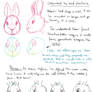 Rabbit drawing tutorial pt2 - Understand the Head