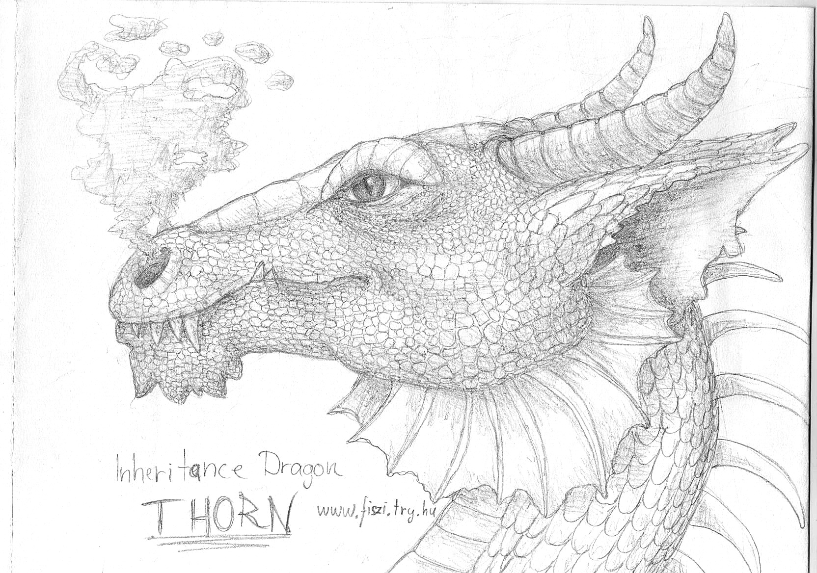 Portrait of Dragon Thorn -old