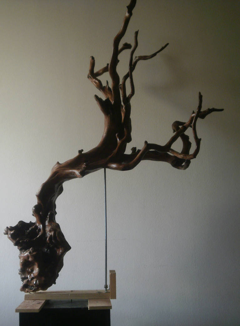 Roots Treehouse. by MastroVagos on DeviantArt