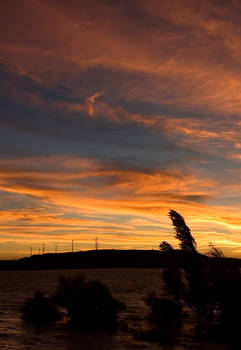 Windmills at Dusk