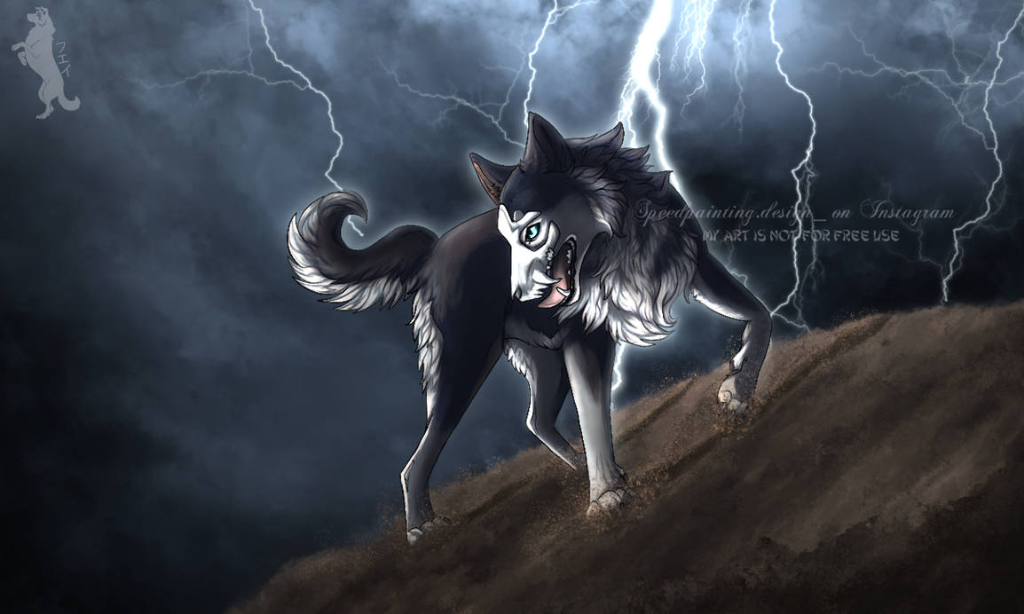 Thunderstorm Wildcraft art by LakyschasArt on DeviantArt