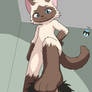 Miso has a new playmate~