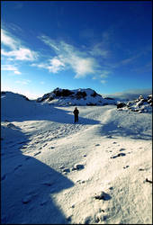 In the snow... again