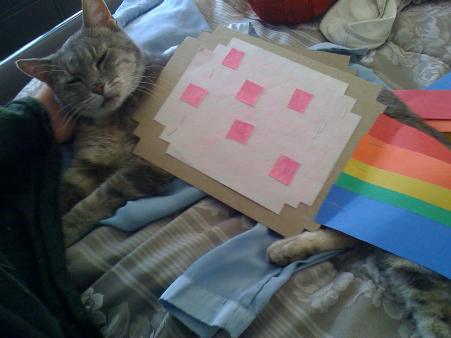 Nyan Cat Costume By Kieyoukie On DeviantArt nyan-cat-costume-by-kieyoukie-on-deviantart