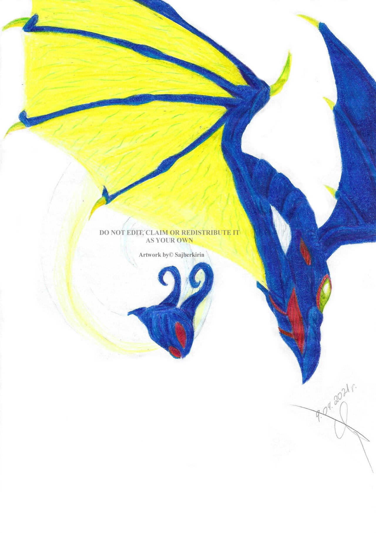 Spirit Ryu by Sajberkirin on DeviantArt
