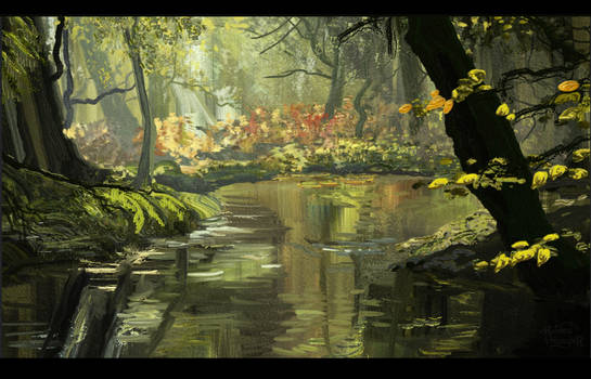 Forest study