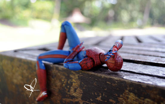 Shhhhh...*Spidey is taking a nap*