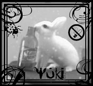 Yuki Rabbit Yuki rabbit by powerpaint on DeviantArt