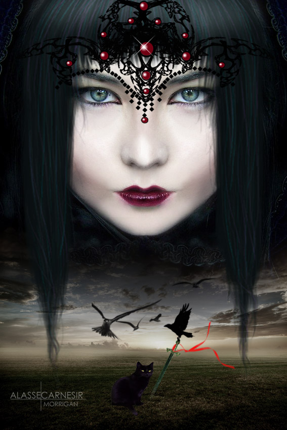 Here comes the Morrigan by AlasseCarnesir