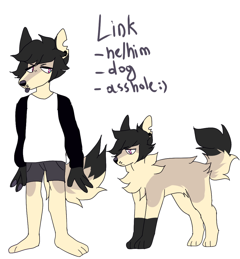 link reference sheet by neon-fangs on DeviantArt