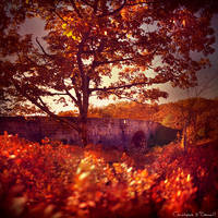 Duck Brook Bridge II