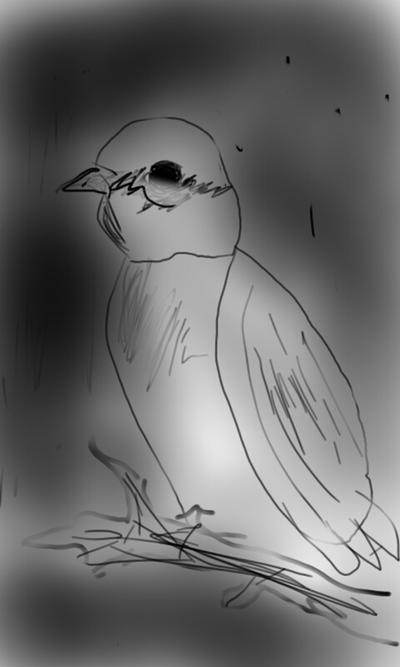 Bird Falling Deviantart Bird by FadedArrow on DeviantArt